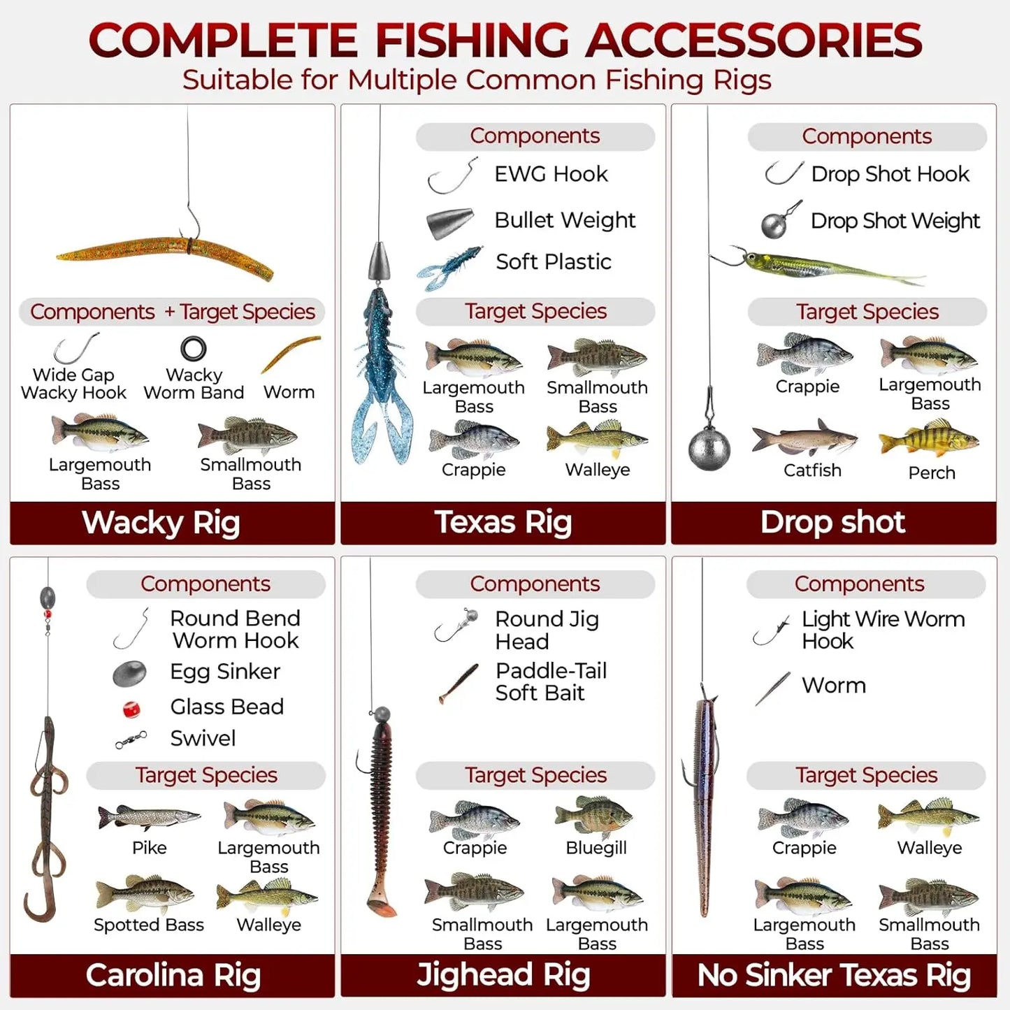 All-in-One Fishing Accessories Set